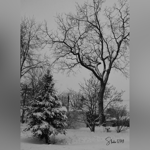 Meet your Posher, Margaret - Picture 3 of 5